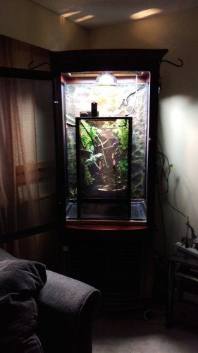 IMAG0989.jpg