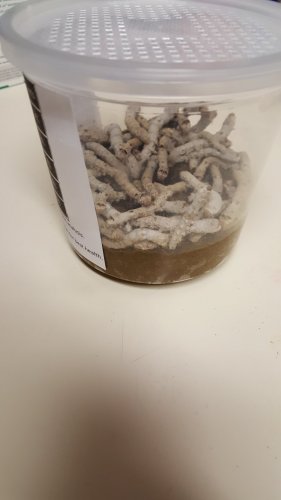 20160202_093931.jpg
