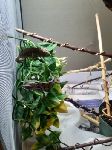 20161009_194358.jpg
