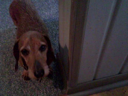 100_0060.JPG