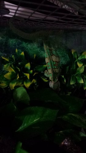 20161028_184022.jpg