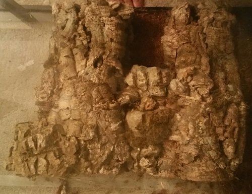 20161020_230522-1.jpg