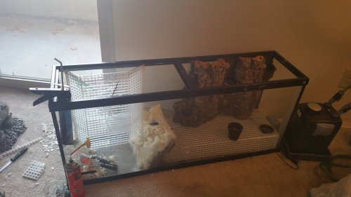 20161031_171001.jpg