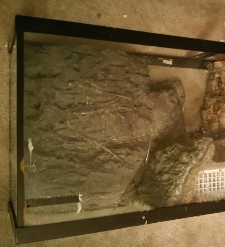 20161101_230005-1-1.jpg