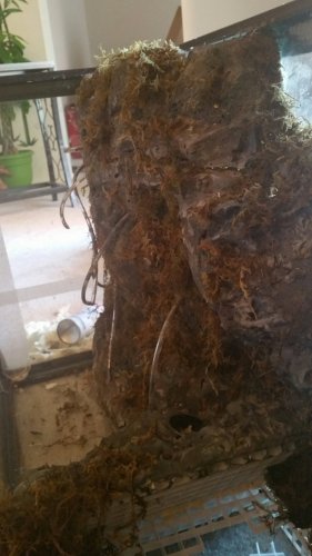 20161102_145221.jpg