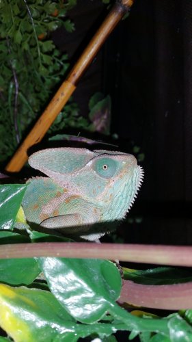 20161111_160734.jpg