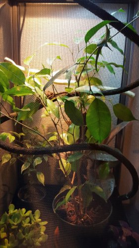 20161105_182633.jpg