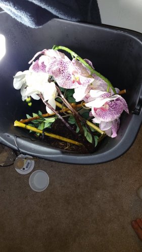 20161114_170156.jpg