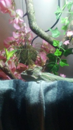 20161105_182807.jpg