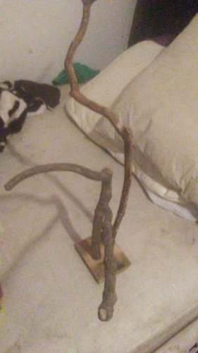 20161025_190337.jpg