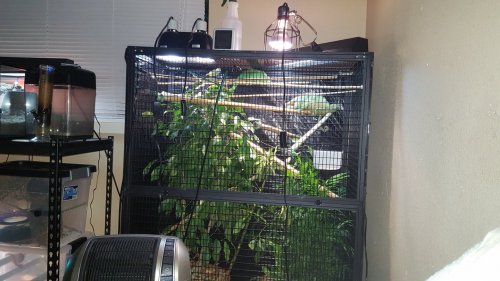 20161116_174327.jpg