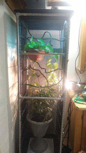 20161008_164117.jpg