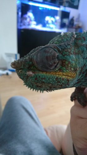DSC_0831.JPG