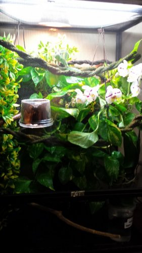 20161122_064521.jpg