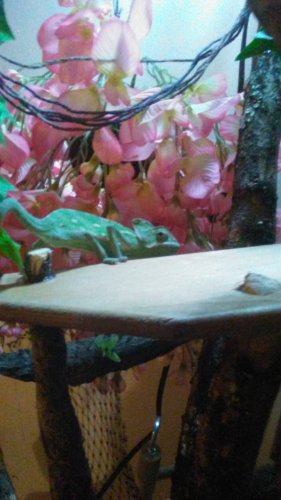 20161124_172427.jpg