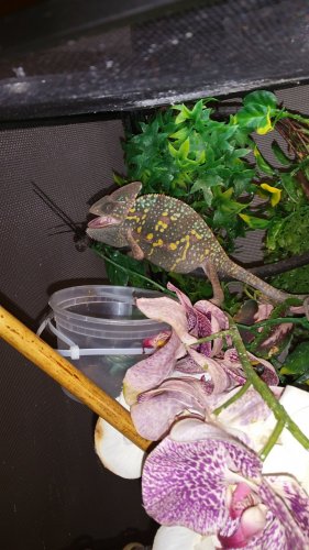 20161125_133828.jpg