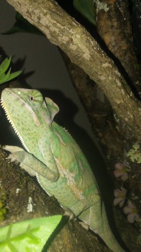 20161205_131103.jpg