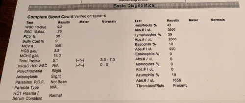 ren bloodwork1.png