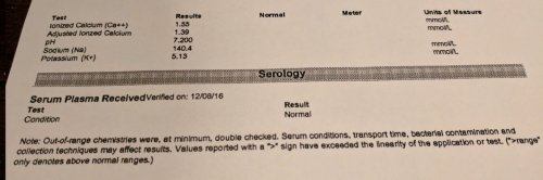 ren bloodwork3.jpg