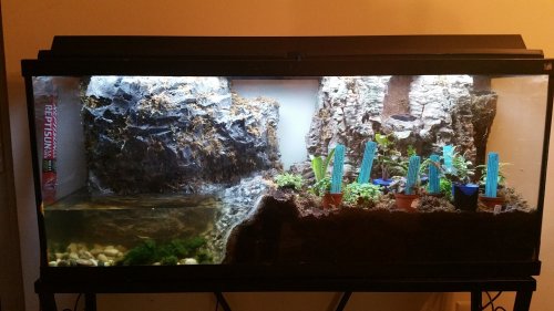 20161218_183759.jpg