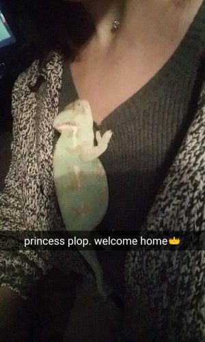 Snapchat-3976292046995428674.jpg