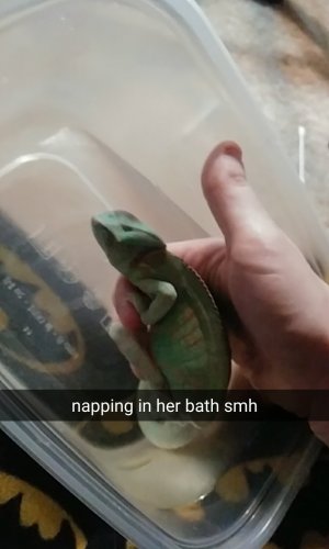Snapchat-4307999613375781911.jpg