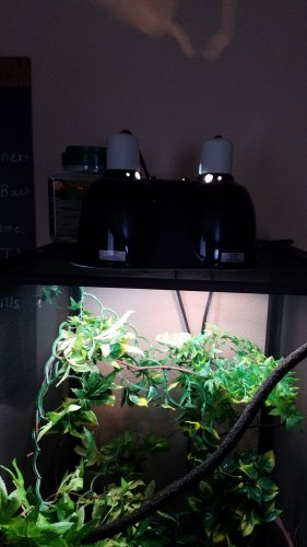 20161222_152703.jpg