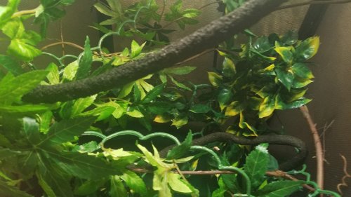 20161223_083615.jpg