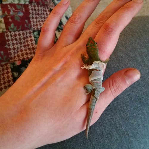 20161230_121746.jpg
