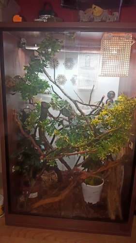 20170101_104915.jpg