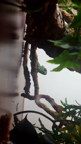 20170101_104941.jpg 20170101_104941.jpg