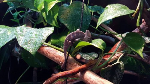 WhatsApp Image 2017-01-01 at 1.00.56 PM.jpeg