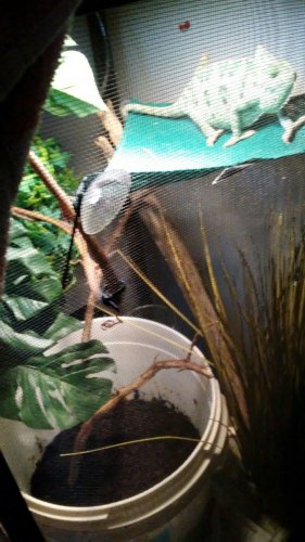 20170101_144040_resized.jpg