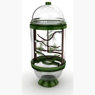 BioBubble-Chameleon-Cantina-171cc364-d00c-433a-b754-7918200f653c_320.jpg