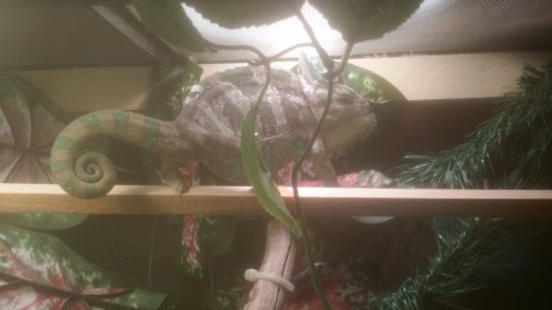 20170109_112424.jpg