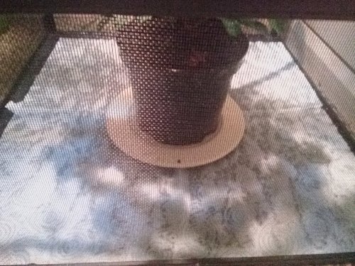 IMG_20170110_182650.jpg