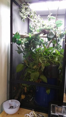 20170114_091035.jpg