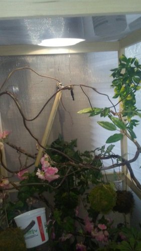 20170117_124638.jpg
