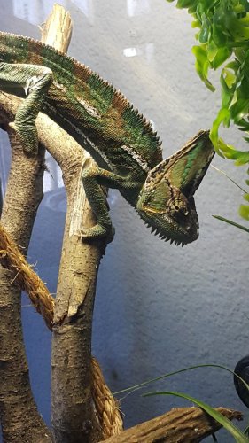 20170118_163340.jpg