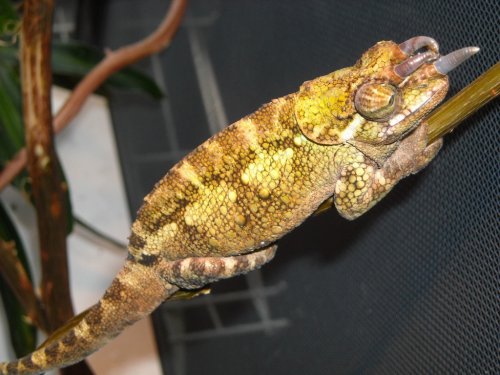 6009 Lake Avenue West Palm Beach 051.jpg