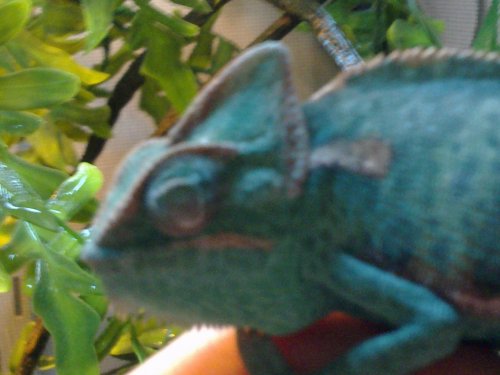 Image0017.jpg
