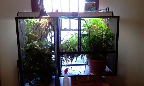IMAG0038.jpg
