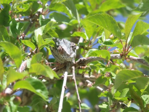DSCF0223.jpg