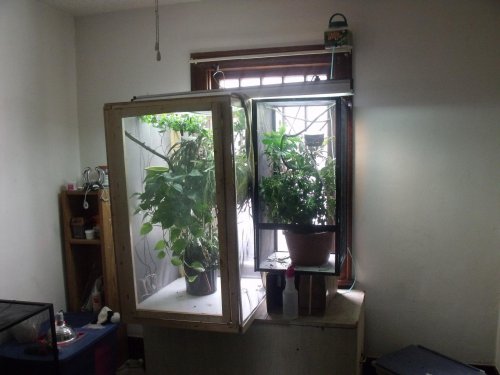 DSCF0230.jpg