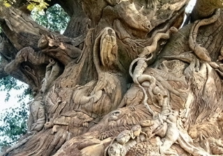 tree trunk_320x240.jpg