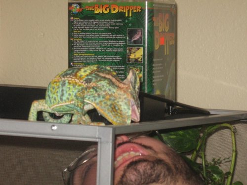 quentin 023.jpg