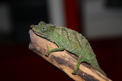 IMG_6413.JPG
