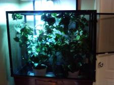enclosure setup.jpg