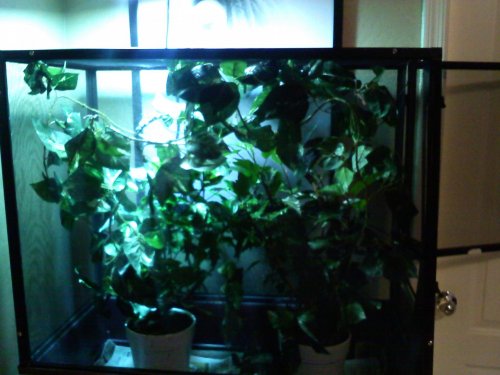 Enclosure #3.jpg