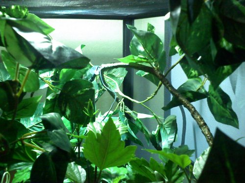 Enclosure #2.jpg